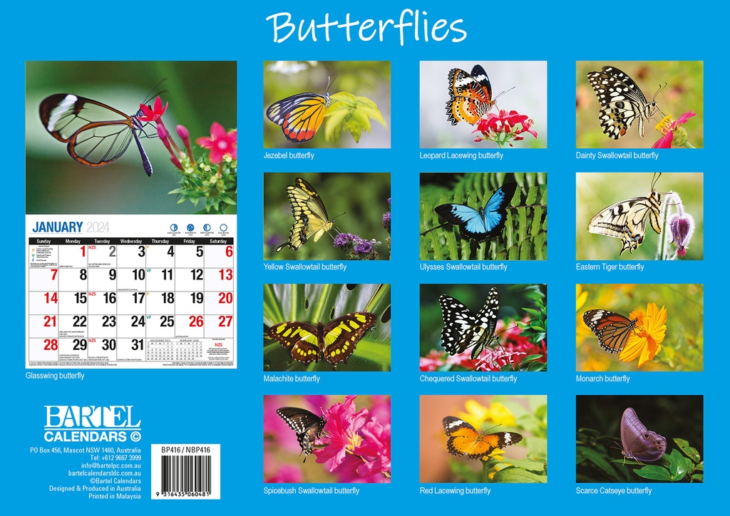 Butterflies Big Print 2024 Calendar Ryft